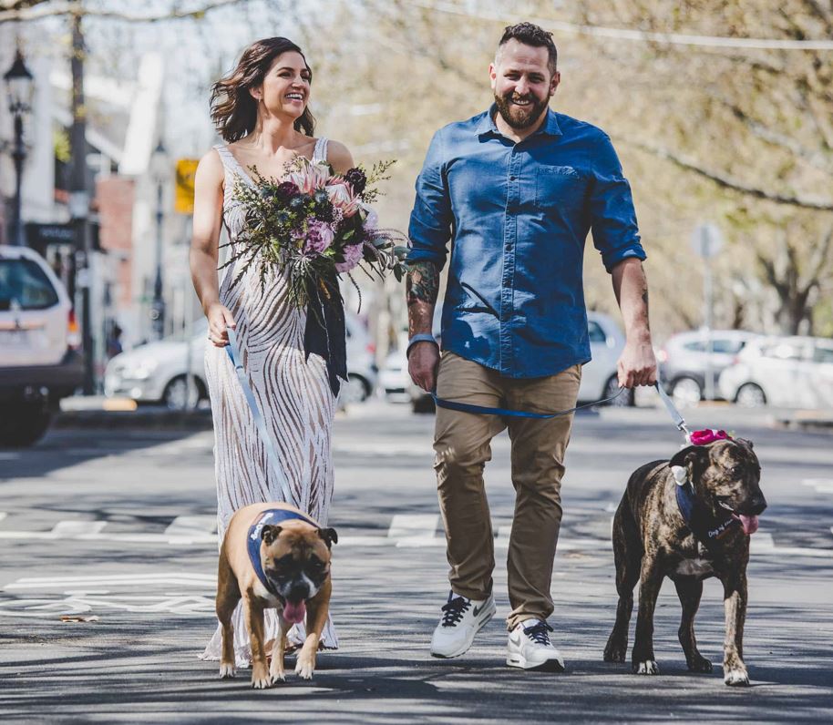 wedding photography Melbourne the couple is walking their dogs