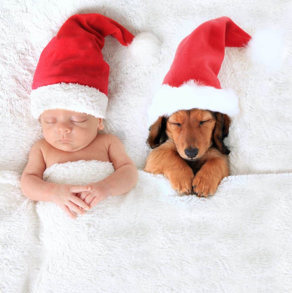 Cute Christmas pictures - Shutterturf