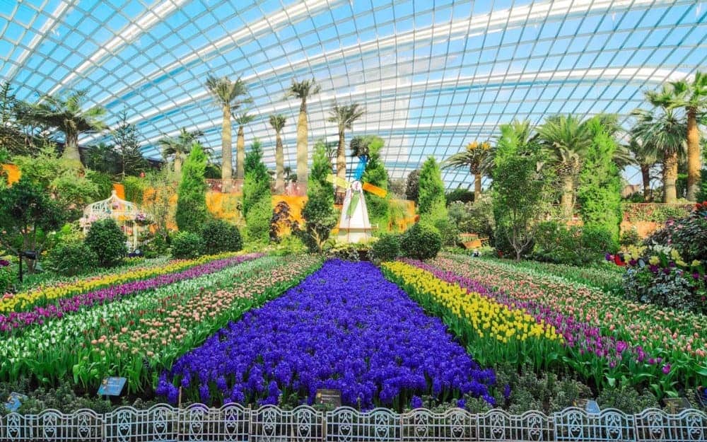 Flower Dome, Gardens By The Bay - Shutterturf