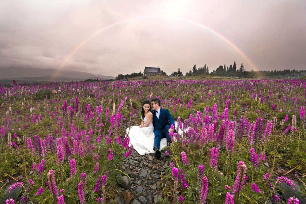 wedding photographers singapore the couple are in a flower field
