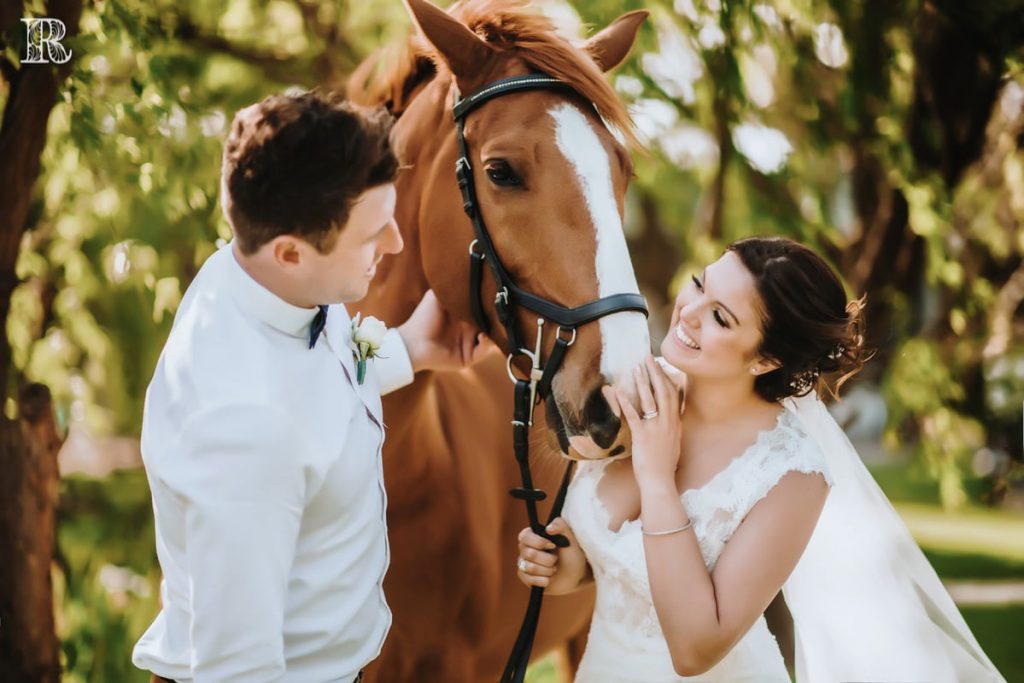 wedding photography Melbourne bride and groom are playing with the horse