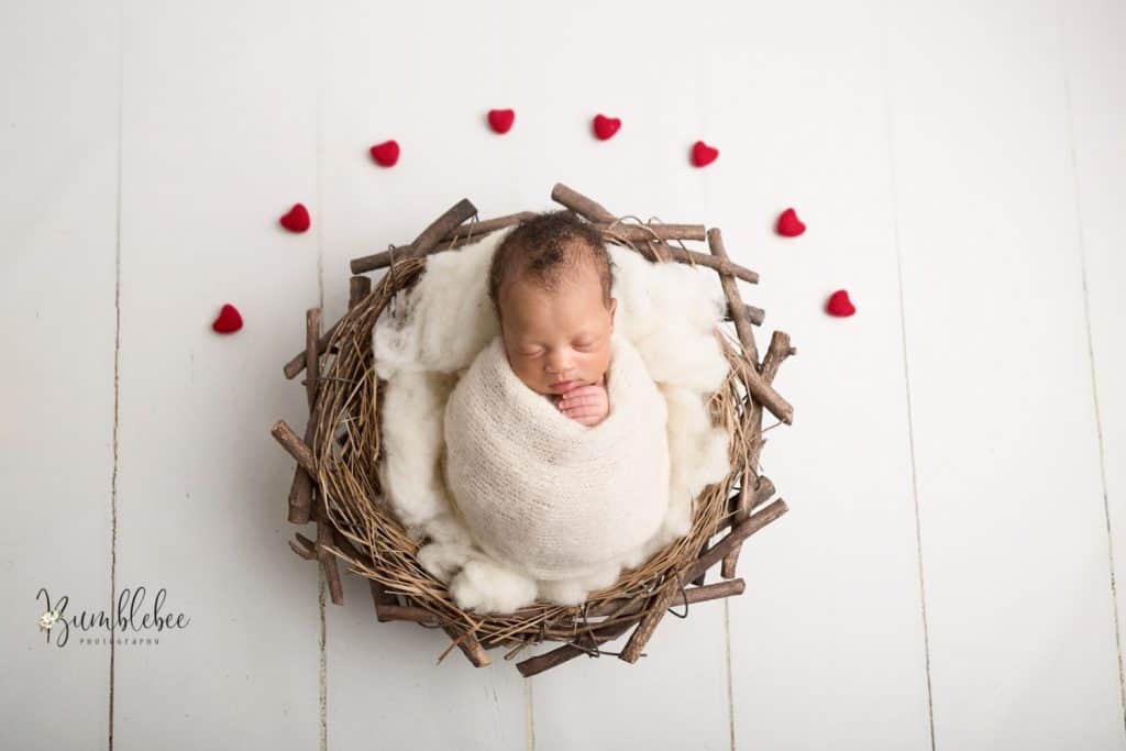 baby photographers Londona newborn placed nest where heart shaped decor are placed around it